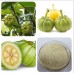 Гарциния Камбоджийская, экстракт плодов, 60% Гидроксилимонной кислоты (Garcinia Cambogia, 60% НСА эестракт)