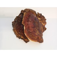 Трутовик лакированный (гриб Рейши, Личжи) крупный, 100 гр