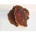 Трутовик лакированный (гриб Рейши, Личжи) мелко порезанный