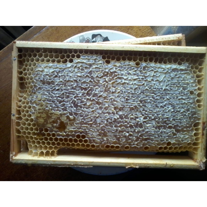 Мед в сотах, северный в рамке, 1,5 кг - с доставкой по всей России