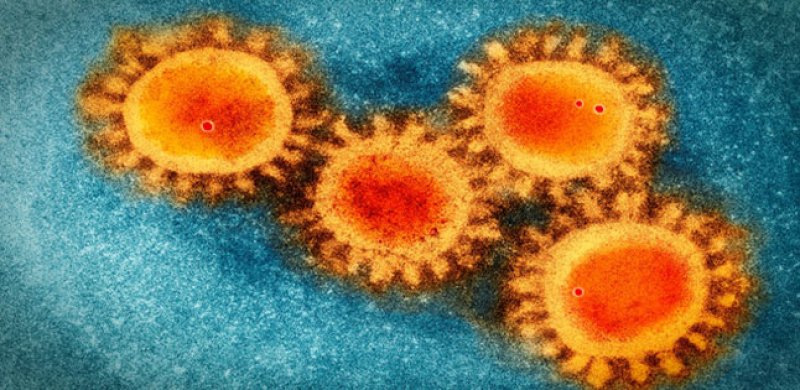 Причины появления Коронавируса. Профилактика коронавируса.